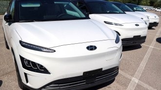 White Hyundai Kona EVs for sale on a lot.