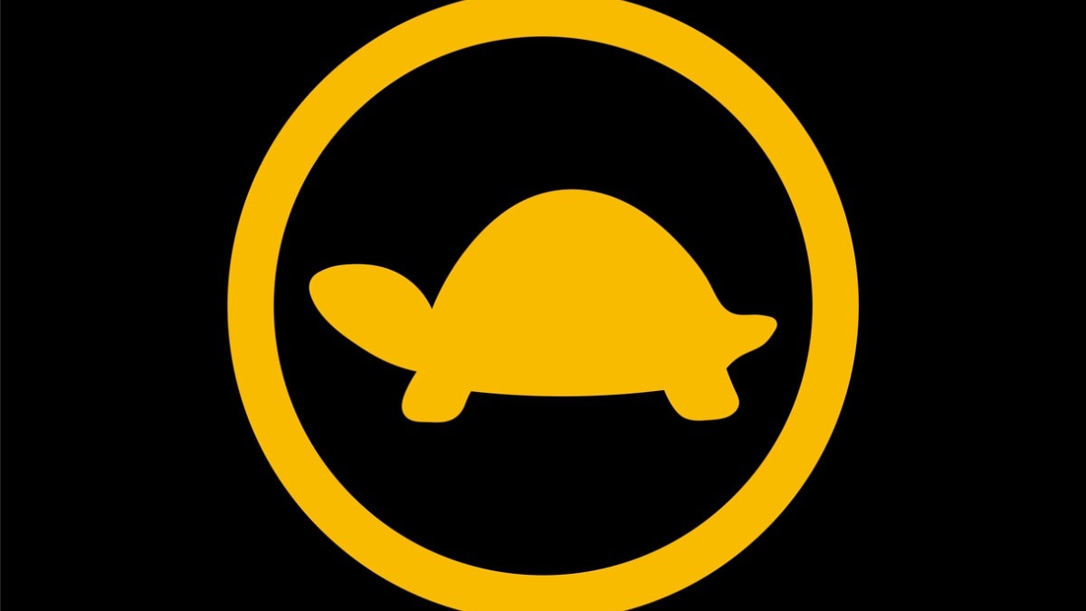 Turtle mode sign in electric vehicles