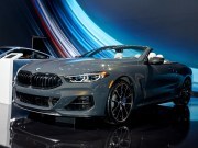 2019 BMW 8 Series Convertible